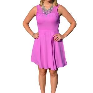 NWOT EXPRESS Dress S Lilac Sheer Pleated Fit & Flare Lined Zip Sleeveless
